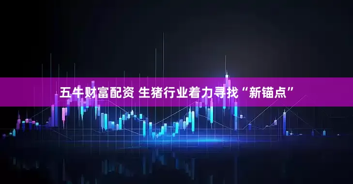 五牛财富配资 生猪行业着力寻找“新锚点”